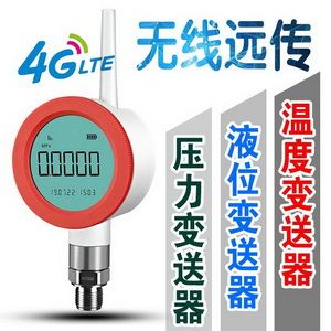 GPRS無(wú)線遠(yuǎn)傳壓力變送器